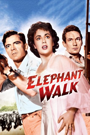 Voi đi bộ Elephant Walk