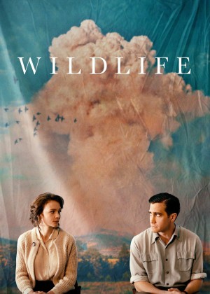 Wildlife Wildlife